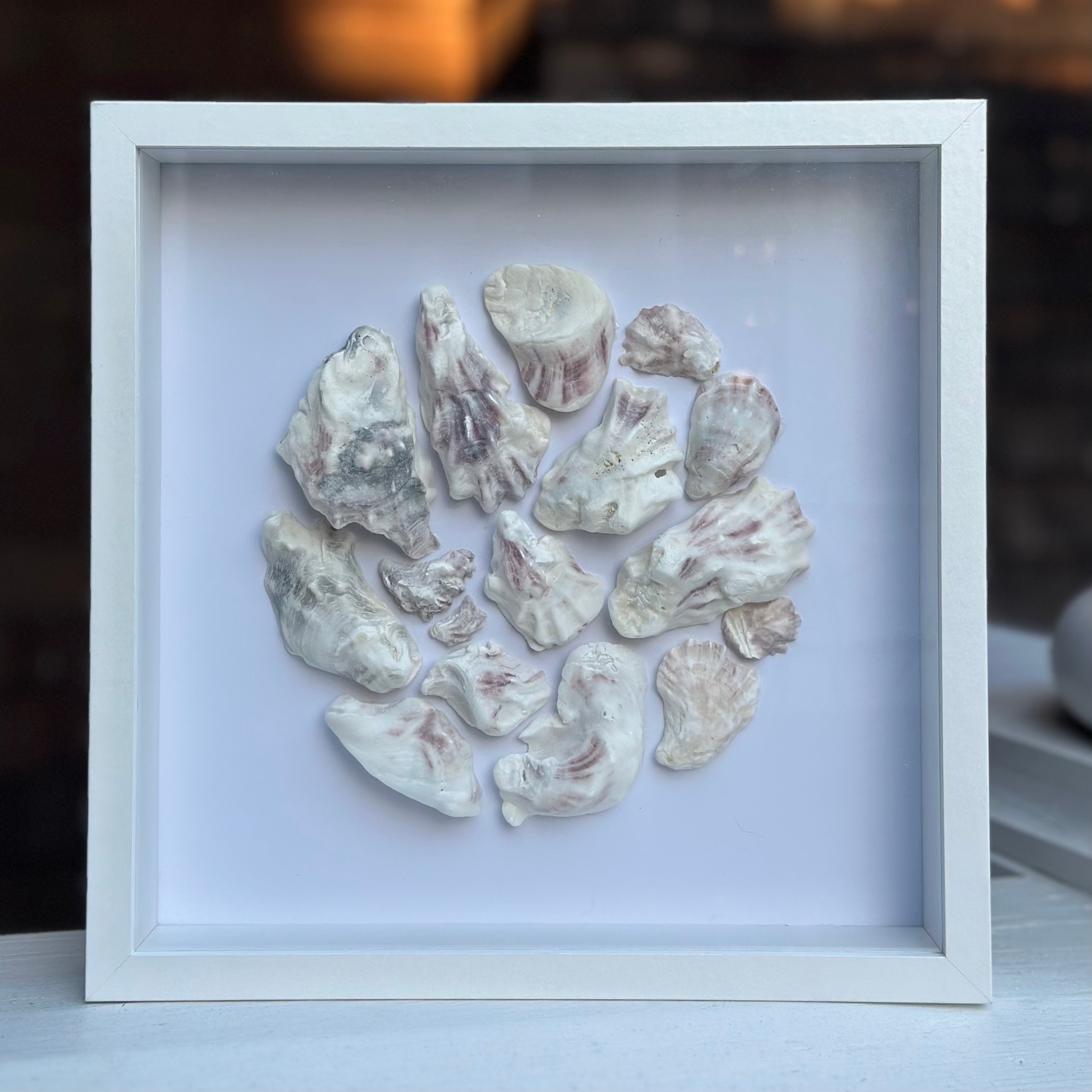 Oyster Collection
