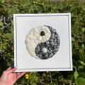 Framed artwork of a yin yang symbol