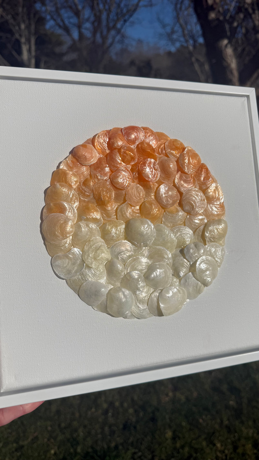 Orange Ombré Seashell Mosaic