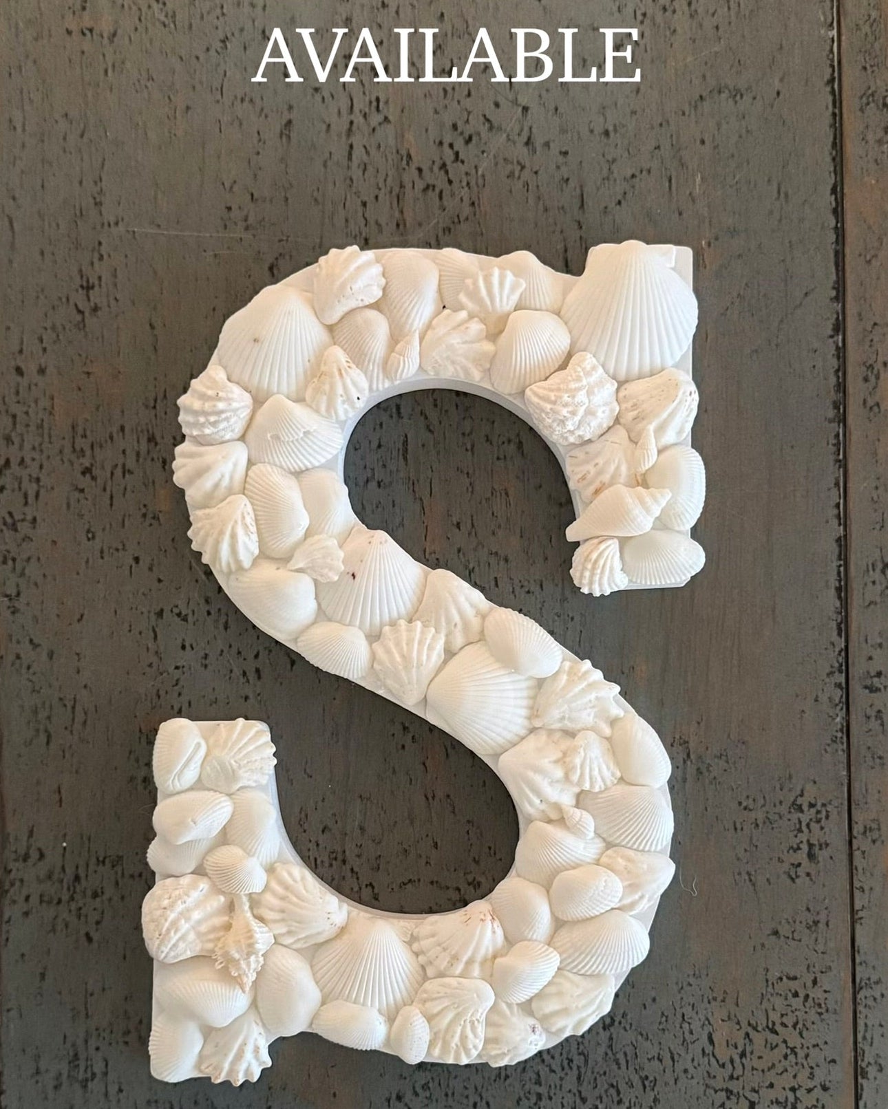 Decorative letter 'S' made of seashells on a dark textured background with 'AVAILABLE' text.