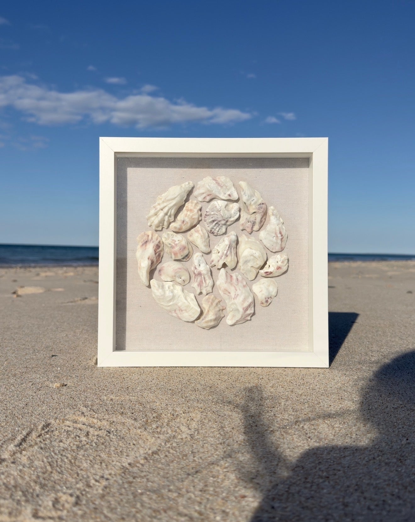 Oyster Shadowbox - Authentic SWFL Oyster Shells