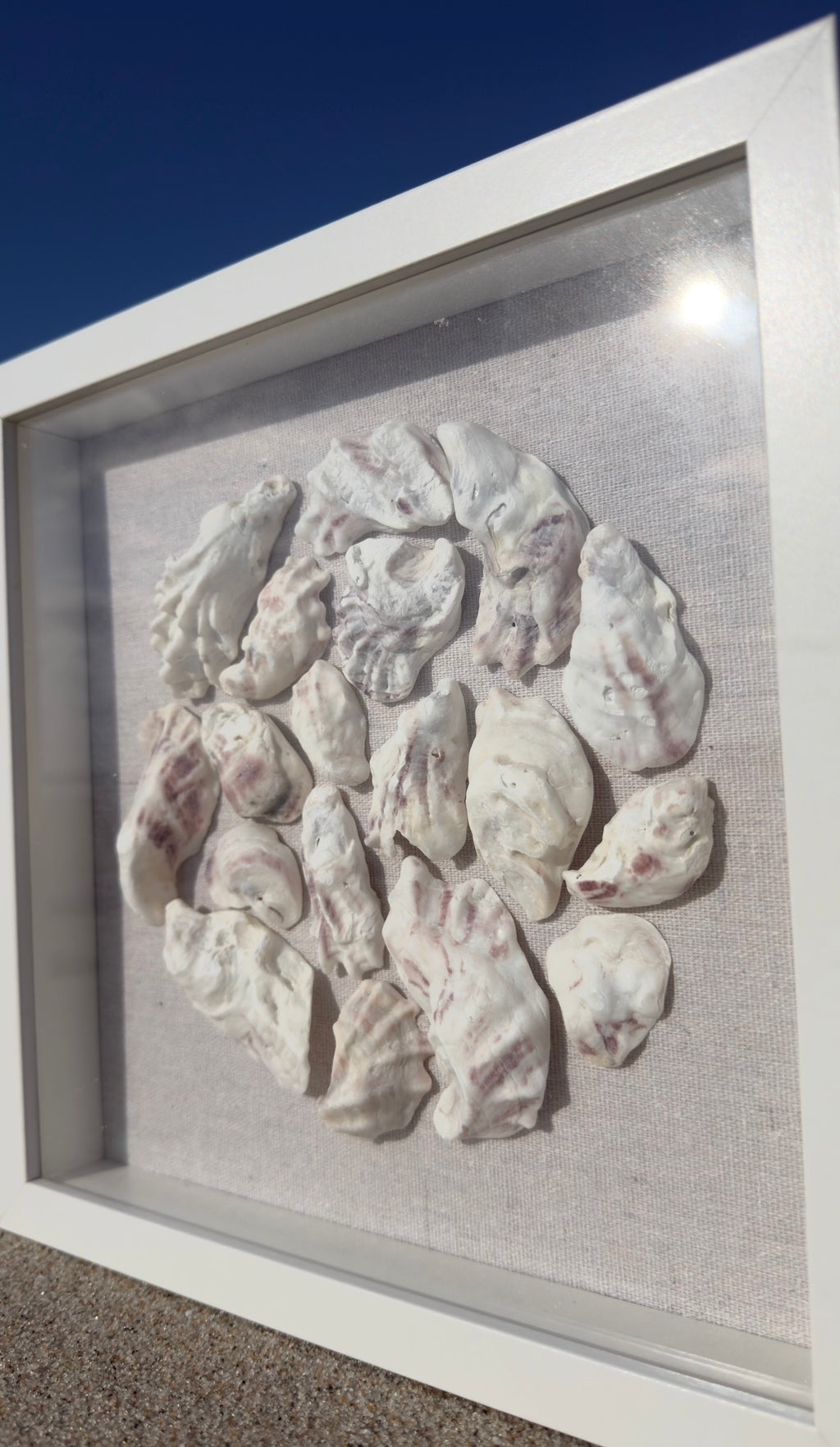 Oyster Shadowbox - Authentic SWFL Oyster Shells