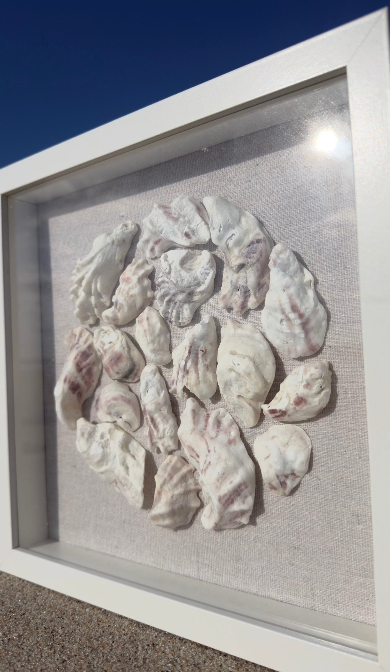 Oyster Shadowbox - Authentic SWFL Oyster Shells