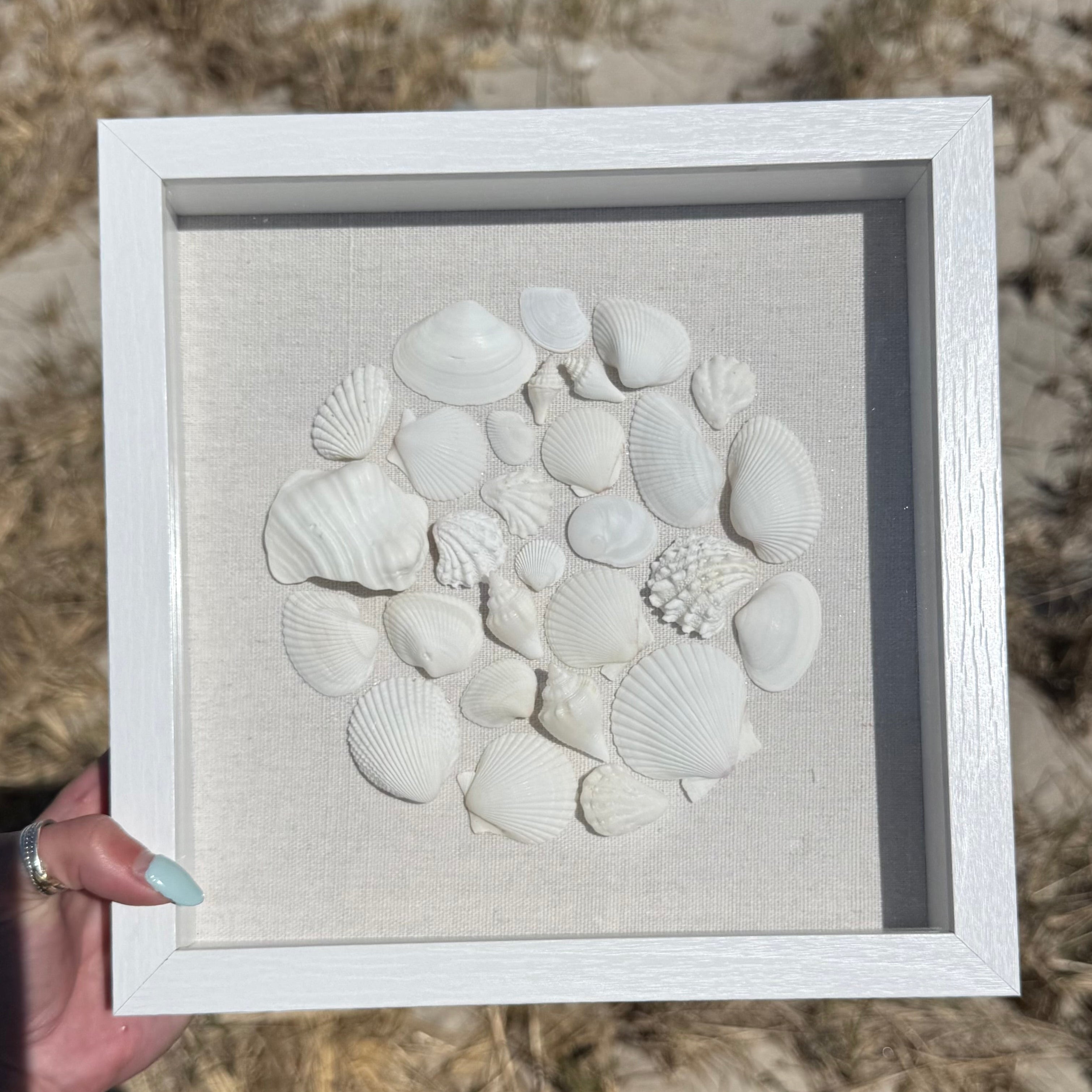 White Seashell Mosaic 9x9