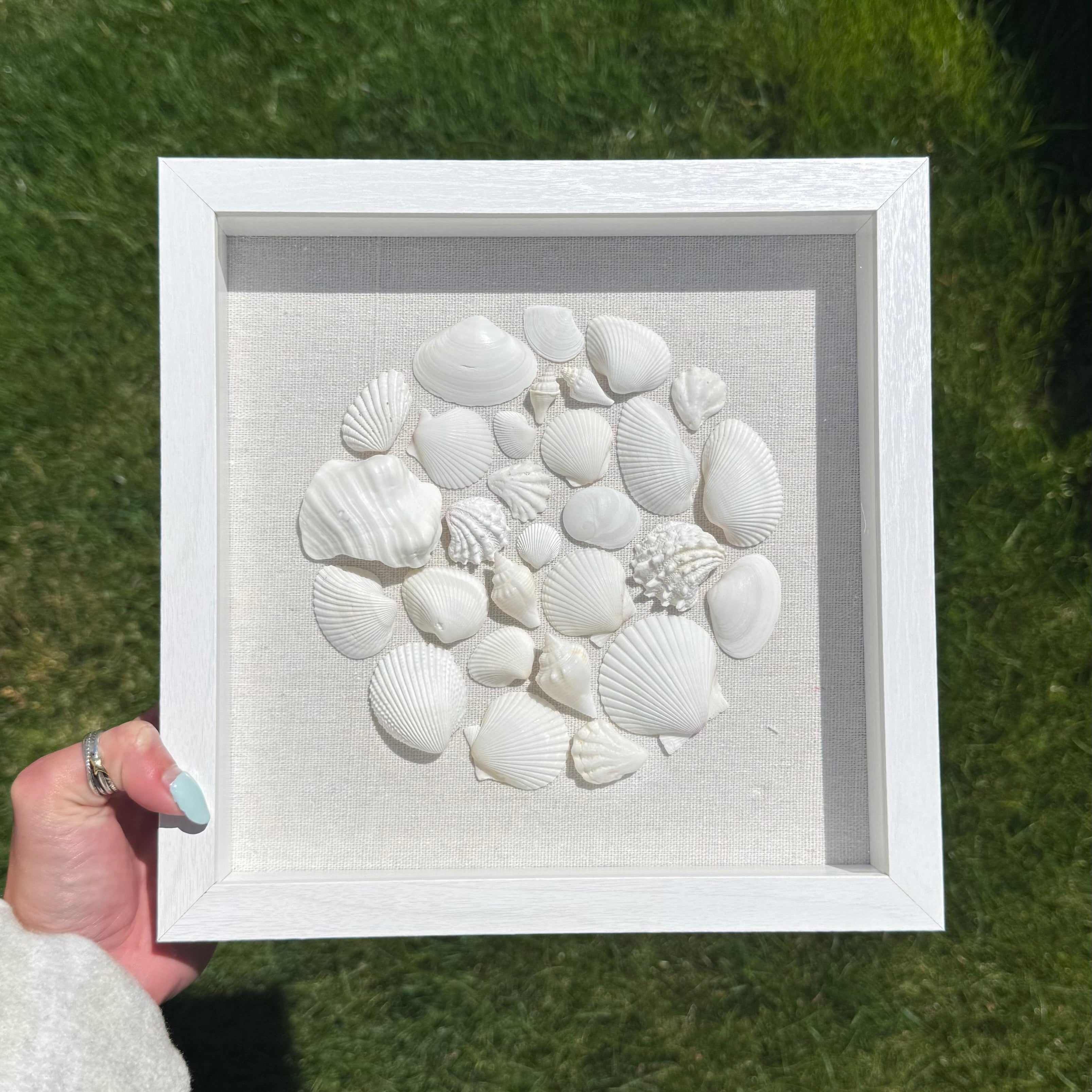 White Seashell Mosaic 9x9