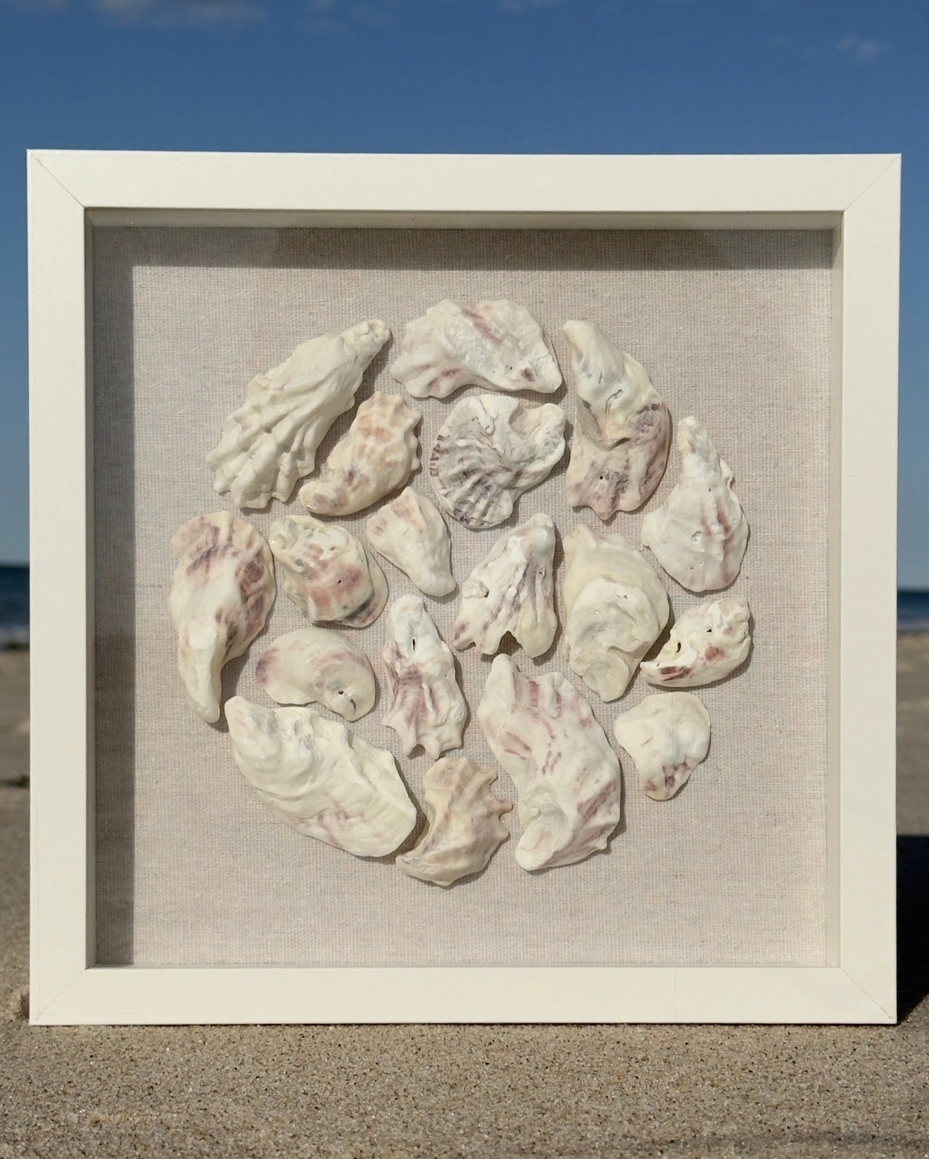 Oyster Shadowbox - Authentic SWFL Oyster Shells