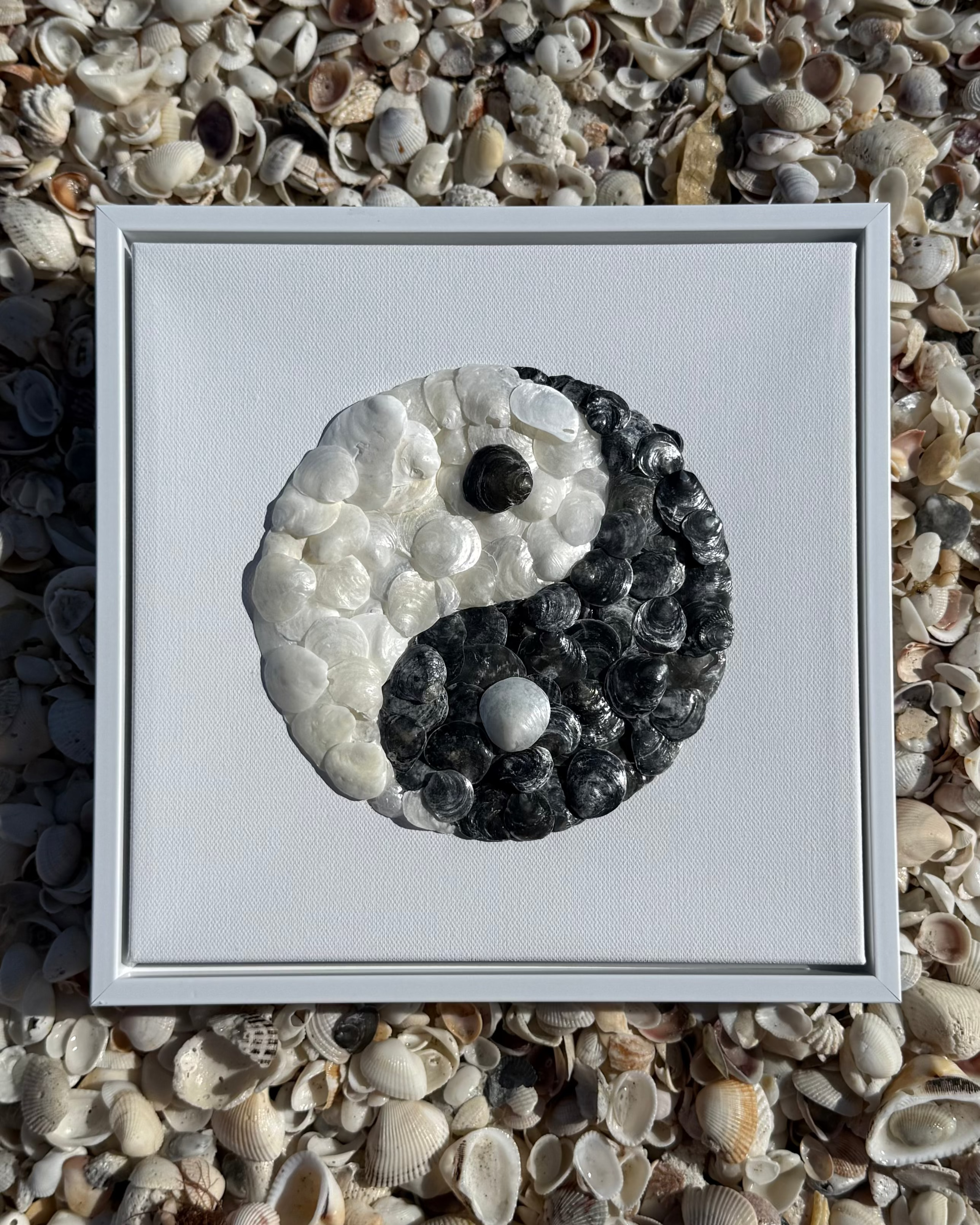 Framed artwork of a yin yang symbol made from seashells on a bed of seashells.