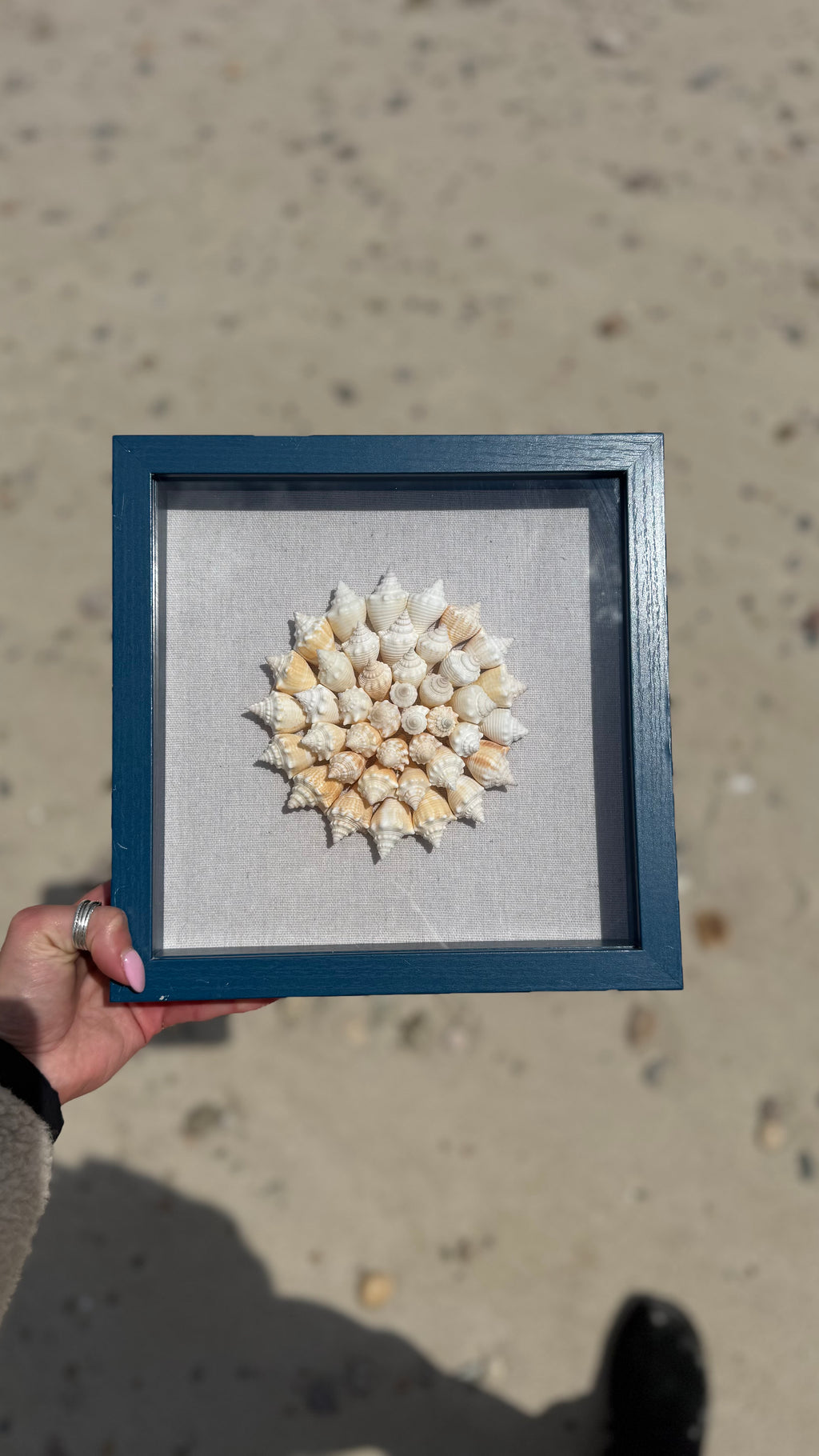 SW Florida Conch Shell Shadowbox
