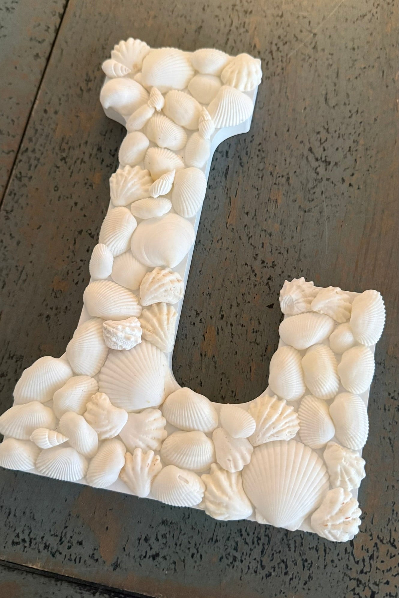 Decorative letter 'L' made of seashells on a metallic surface