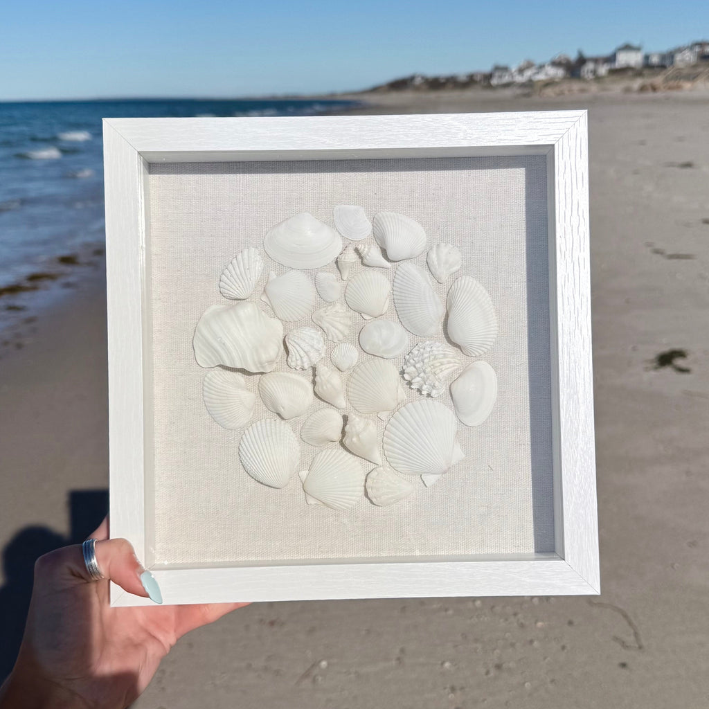 White Seashell Mosaic 9x9