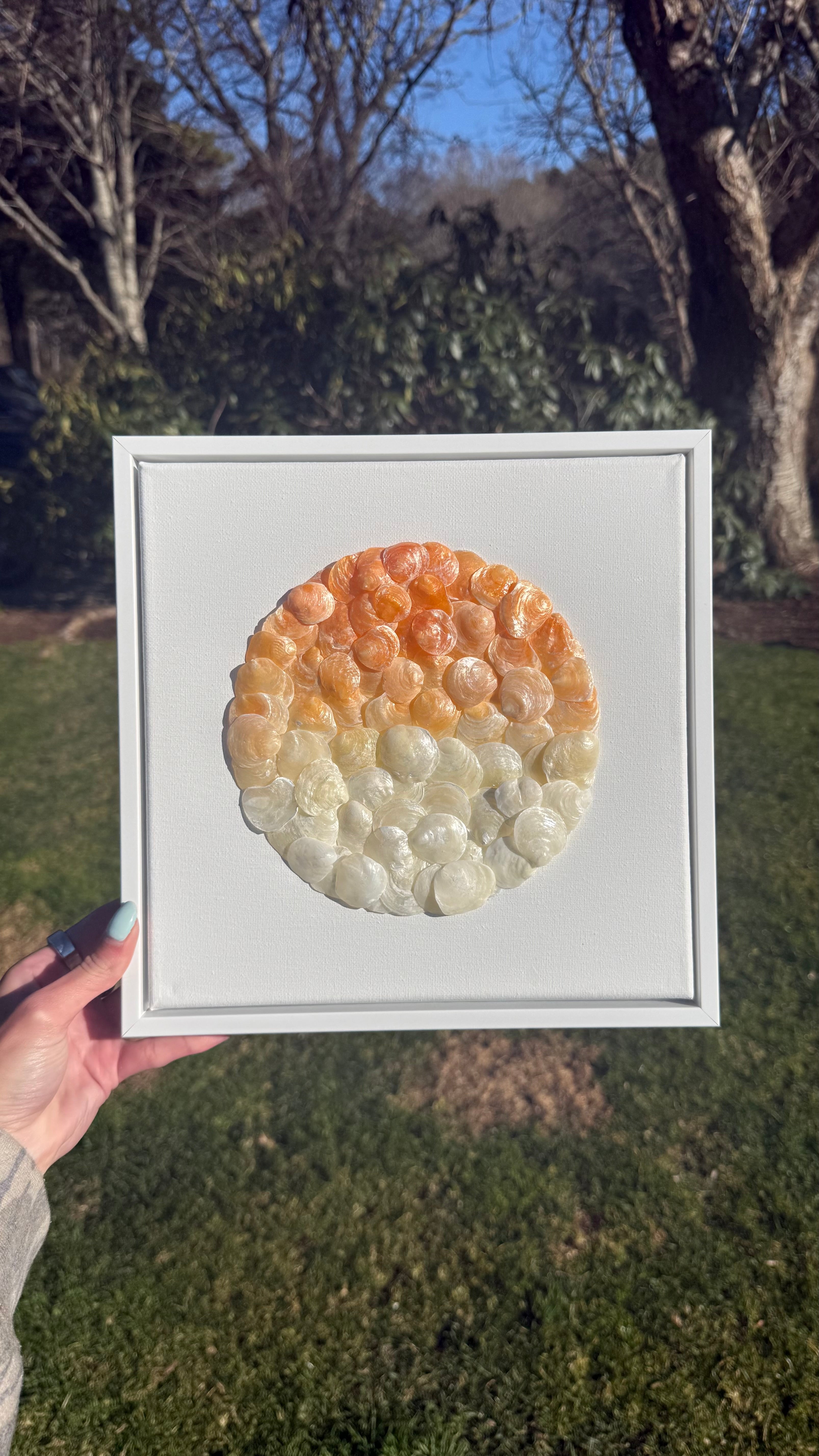 Orange Ombré Seashell Mosaic