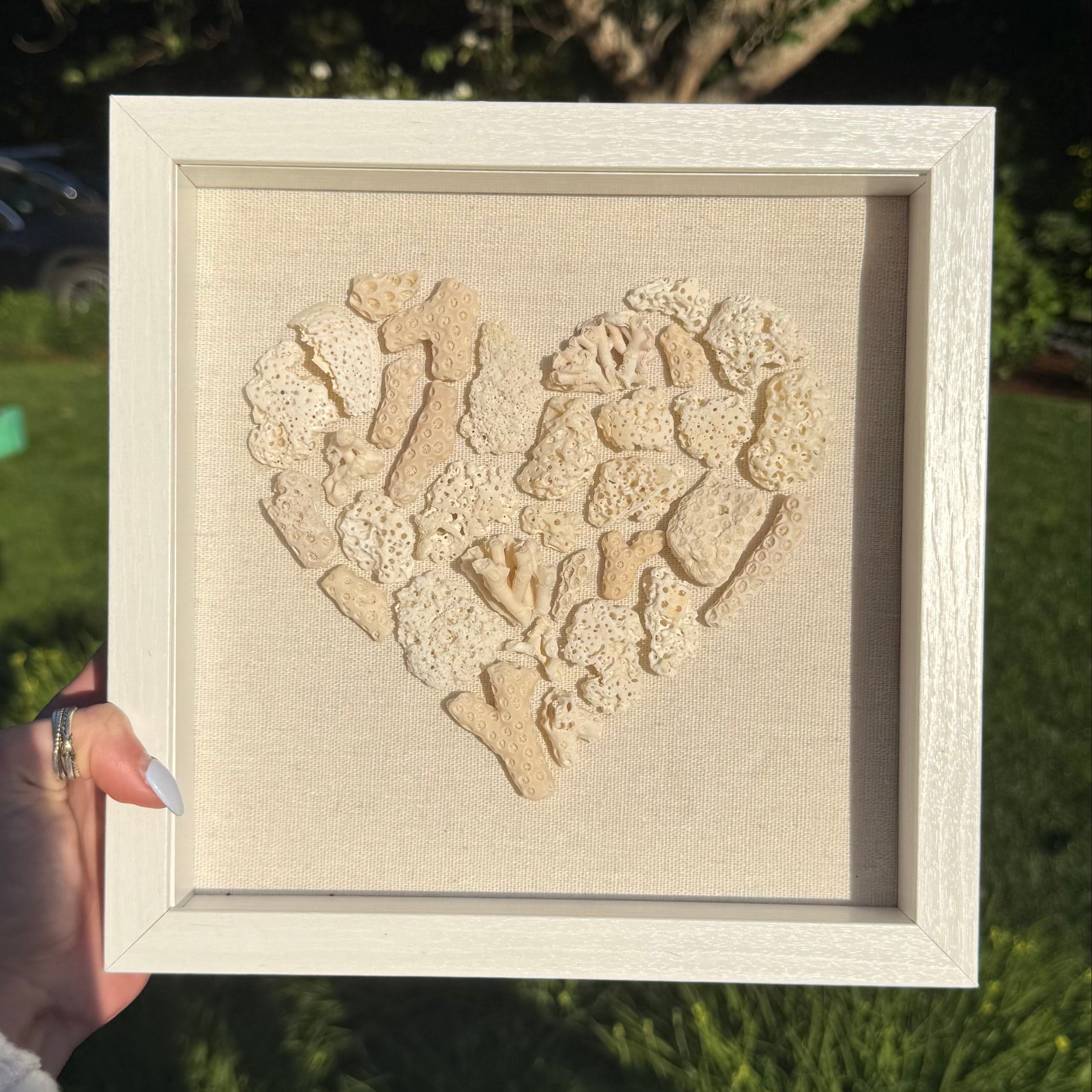Framed Coral Heart - Coastal Wall Art - Seashell art