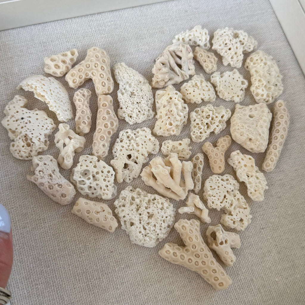 Heart-shaped arrangement of coral pieces on a textured surface