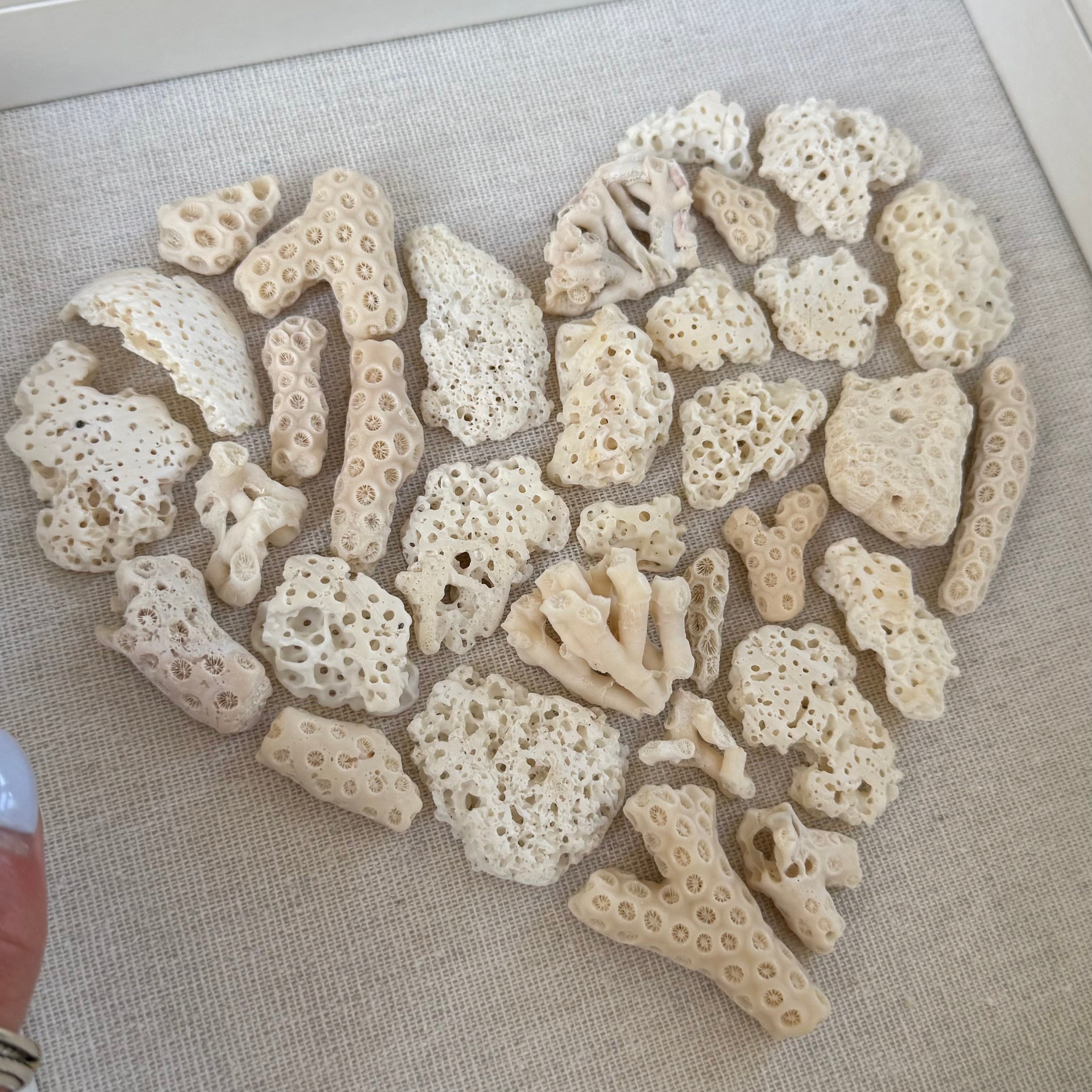 Heart-shaped arrangement of coral pieces on a textured surface
