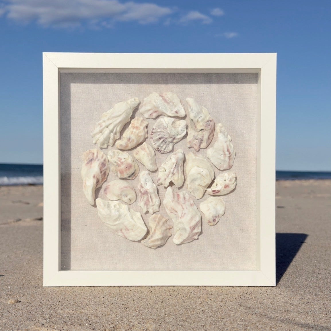 Oyster Shadowbox - Authentic SWFL Oyster Shells