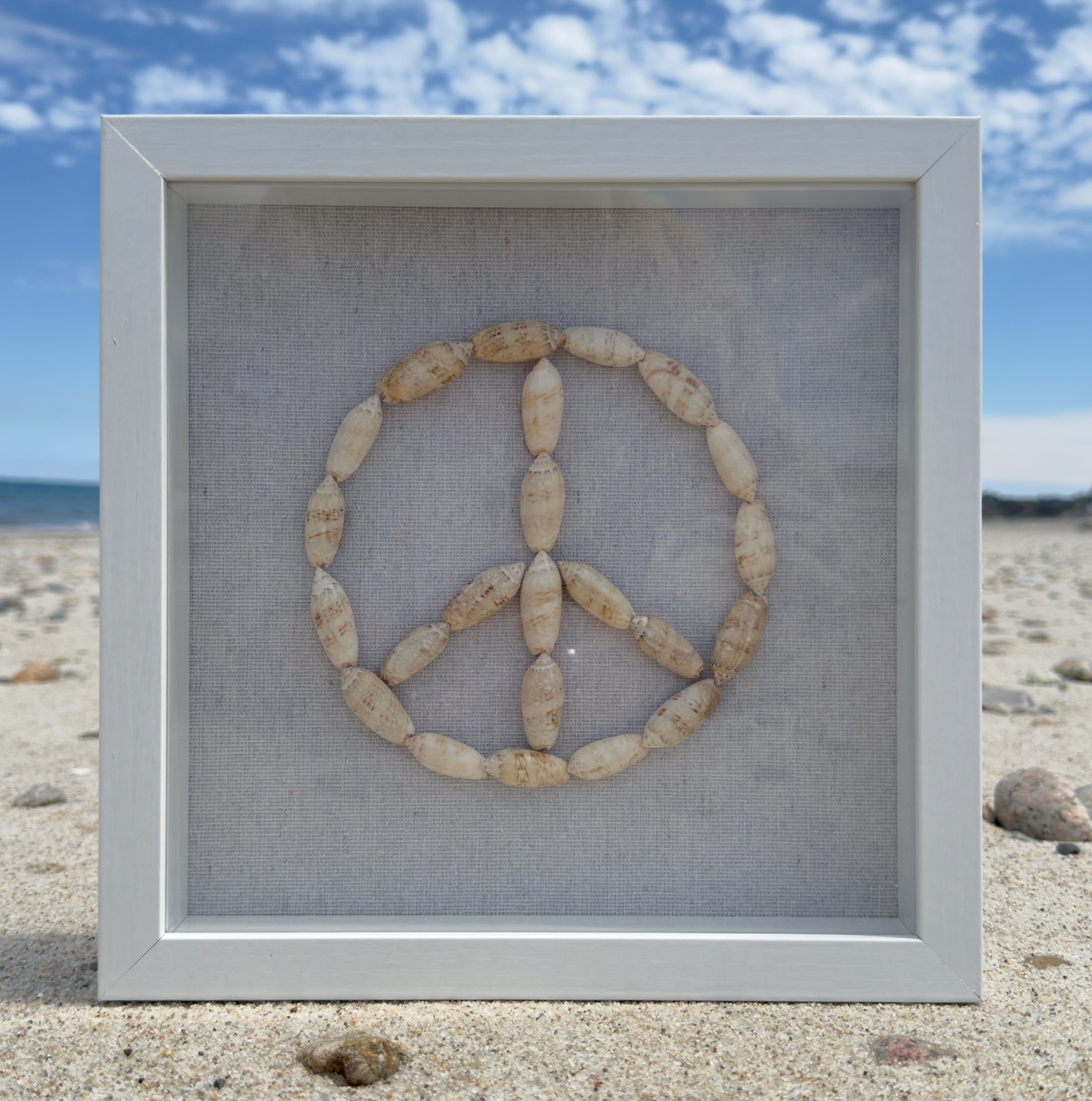 Seashell Peace Sign Wall Art