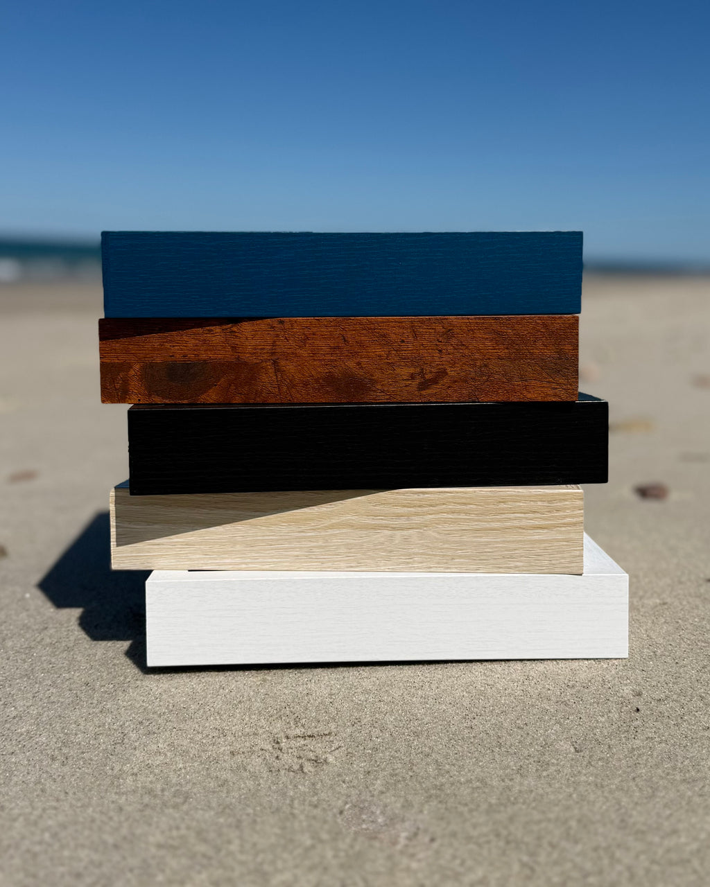 Seashell Shadowbox- 75+ Authentic Sanibel Island Conch shells