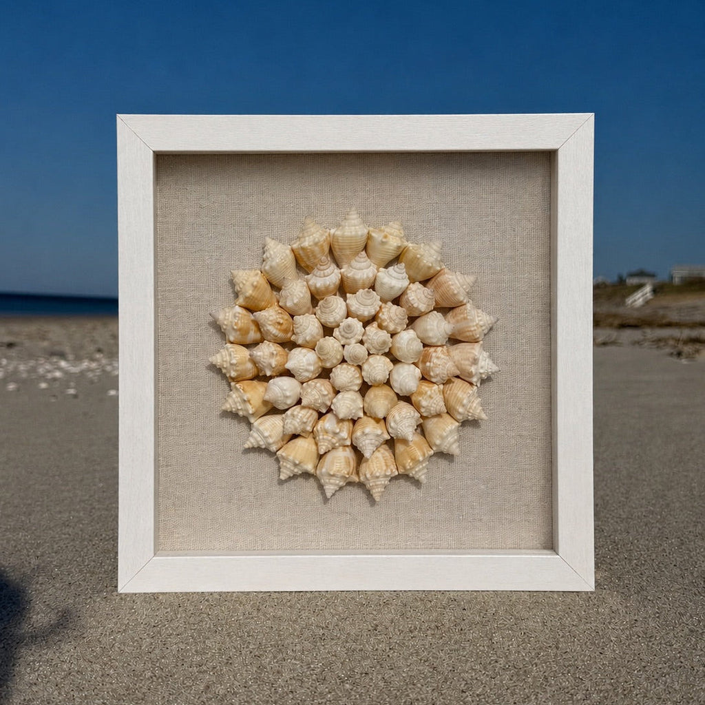 Seashell Mandala - 50+ juvenile fighting conch shells