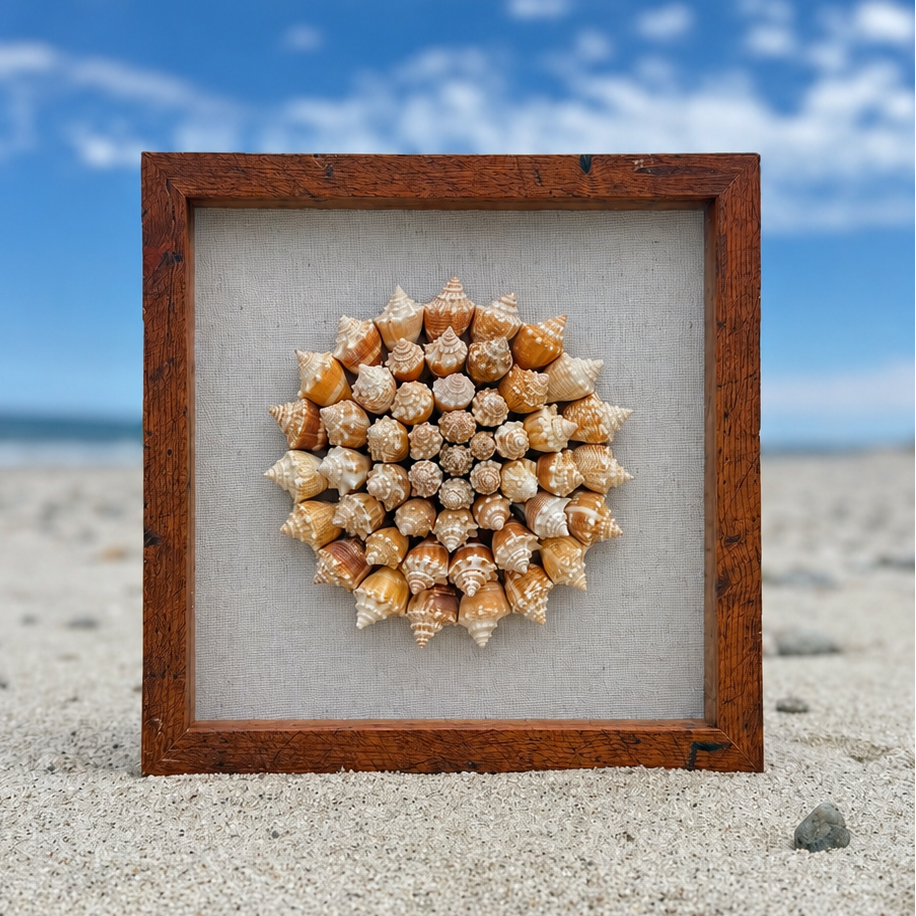 Seashell Shadowbox- 75+ Authentic Sanibel Island Conch shells