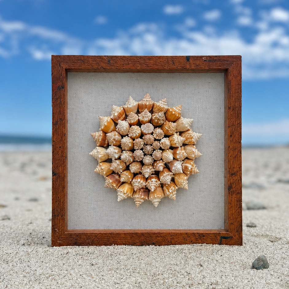 White Seashell Mosaic 9x9 – Sanibel Shell Shop™