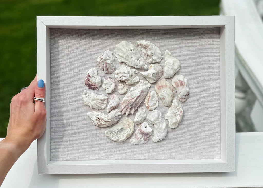 Oyster shell art shadowbox - Authentic Sanibel Island seashells. Beach house decor