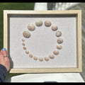 Shark Eye Shell Art