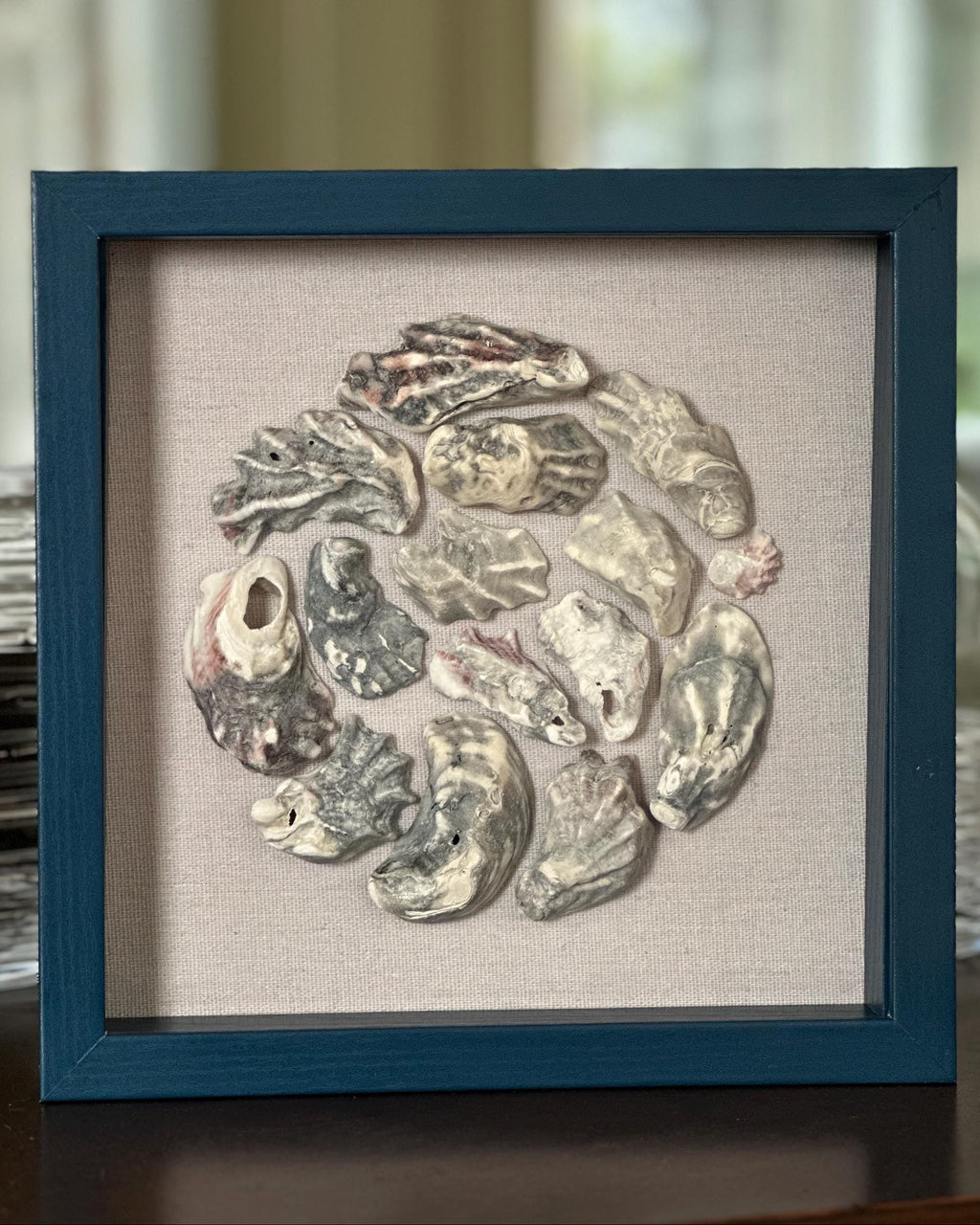 Blue Oyster Seashell Shadowbox - Authentic Sanibel Island seashells