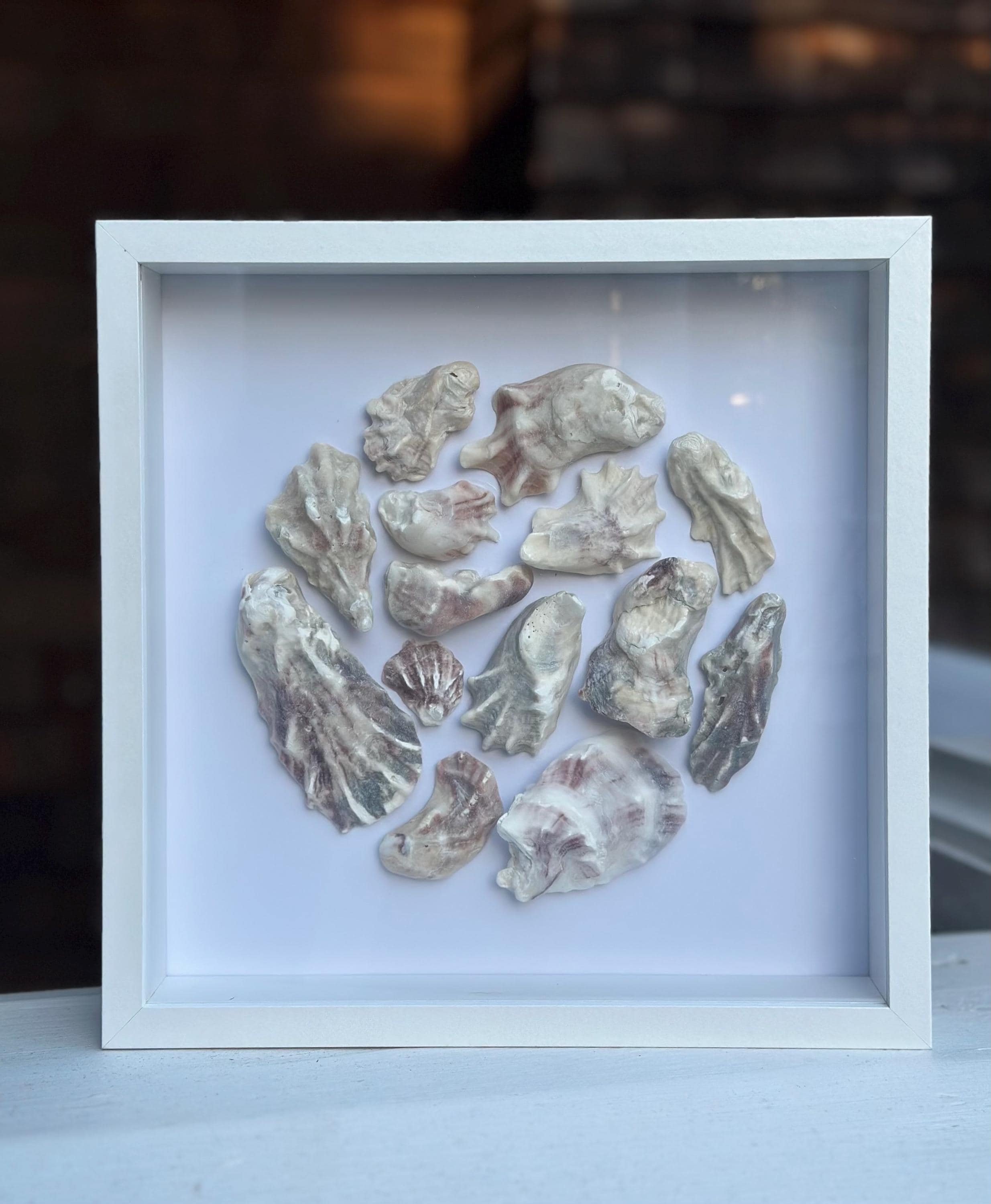 Oyster Seashell Shadowbox - Authentic Sanibel Island seashells