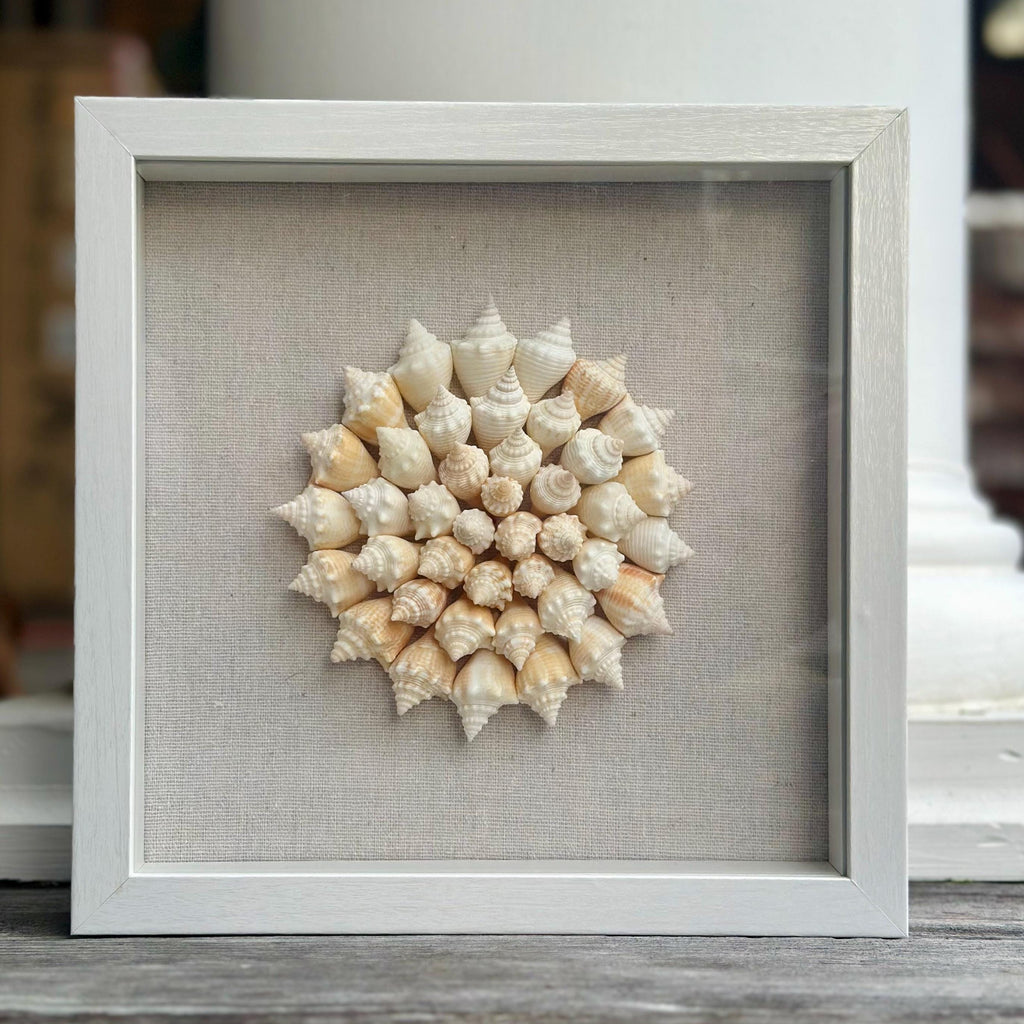 SW Florida Conch Shell Shadowbox