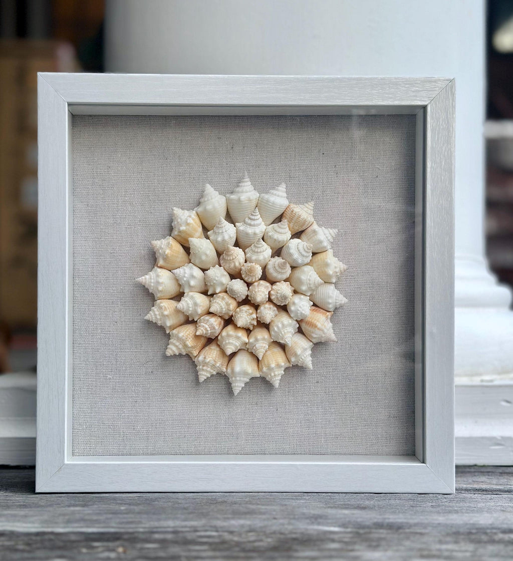 SW Florida Conch Shell Shadowbox