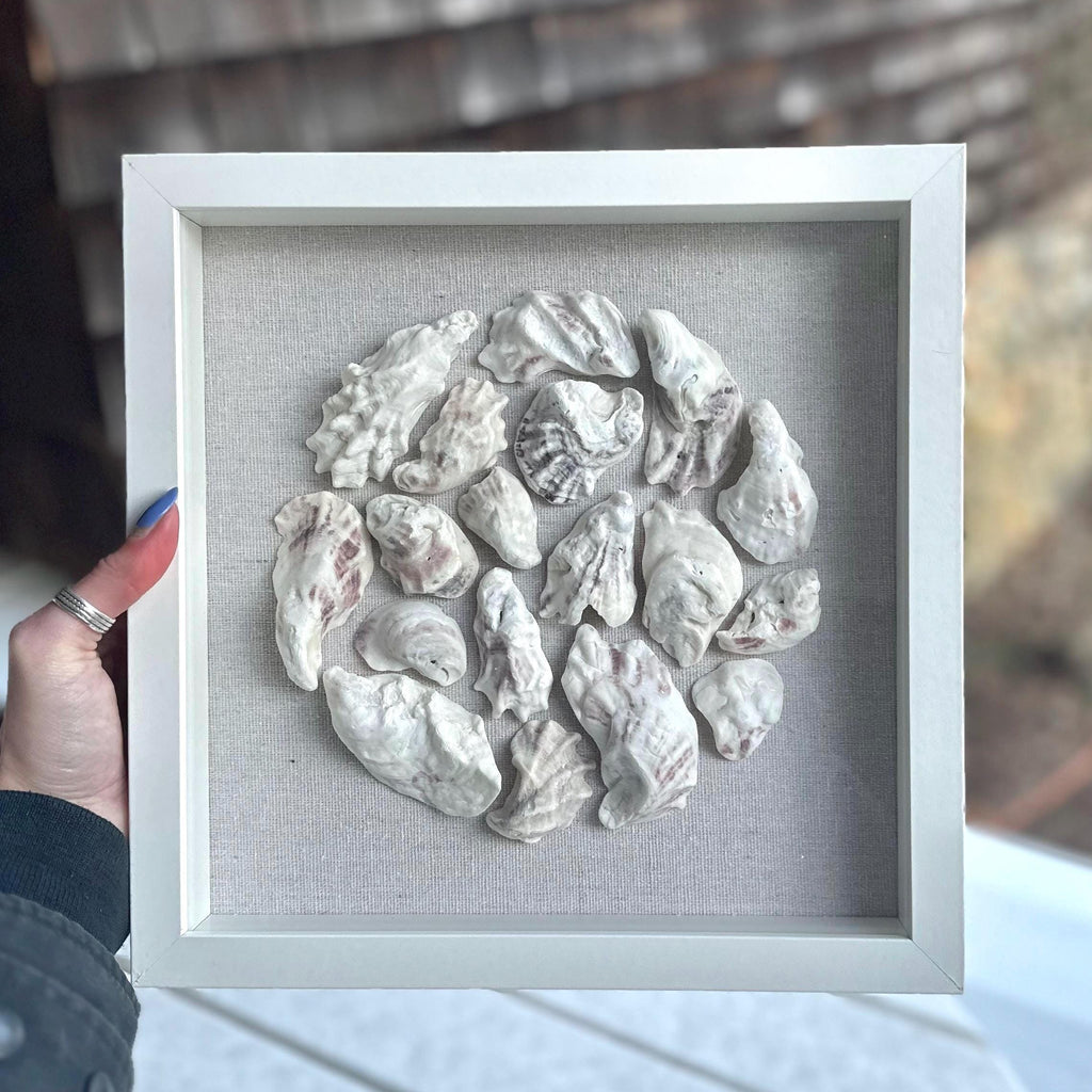Oyster Shell Shadowbox