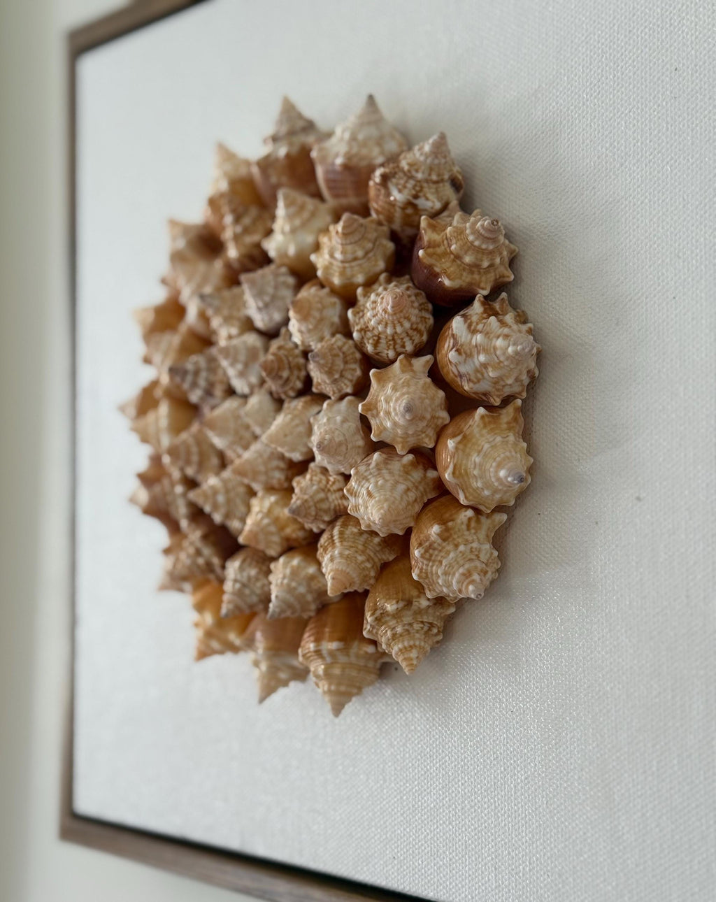 Conch Shell Pinwheel | Seashell Wall Art