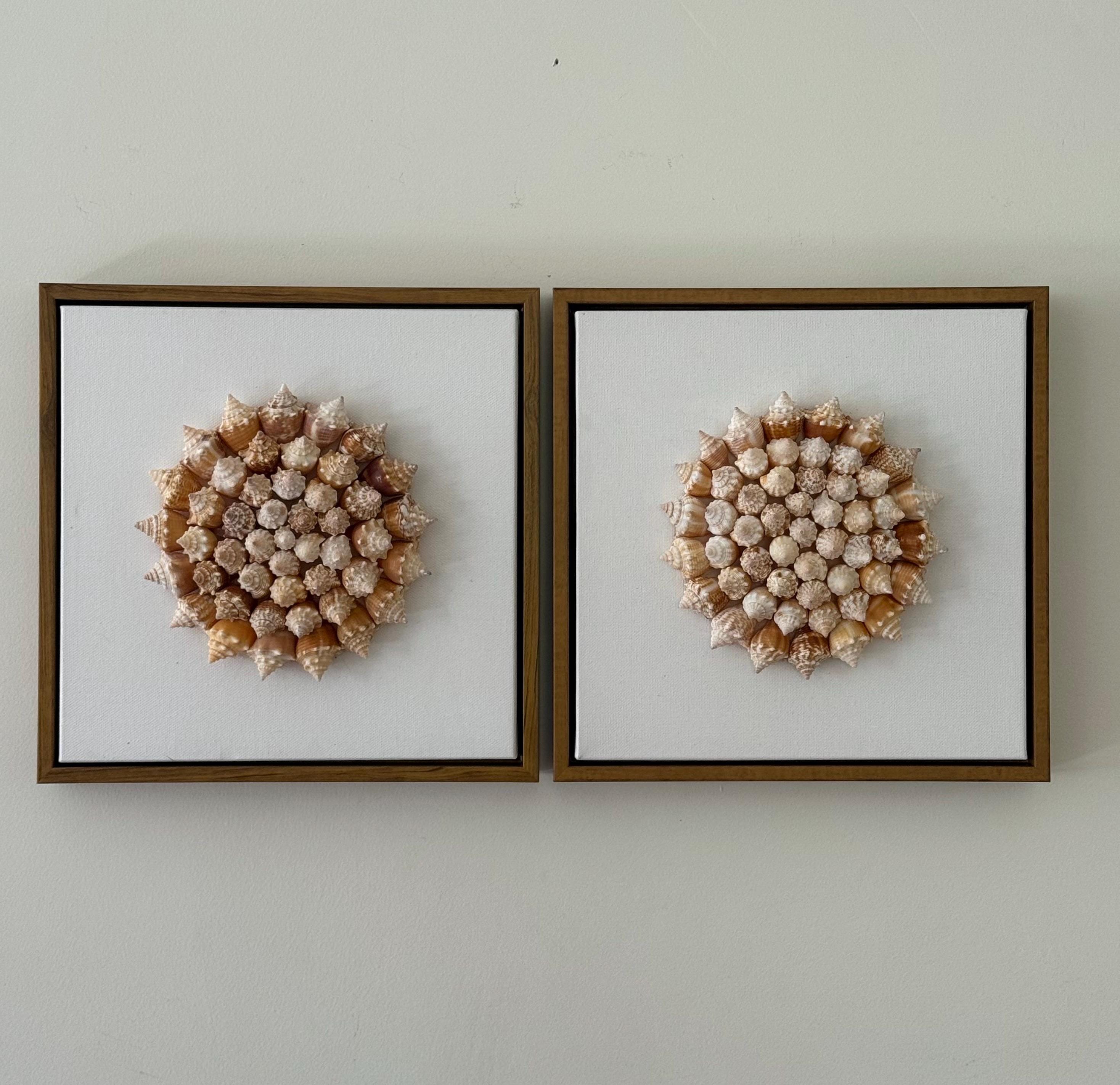 Conch Shell Pinwheel Seashell Wall Art
