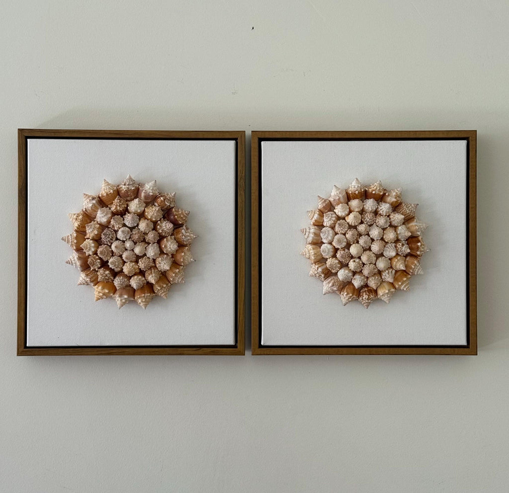 Conch Shell Spiral | Seashell Sunburst Wall Art