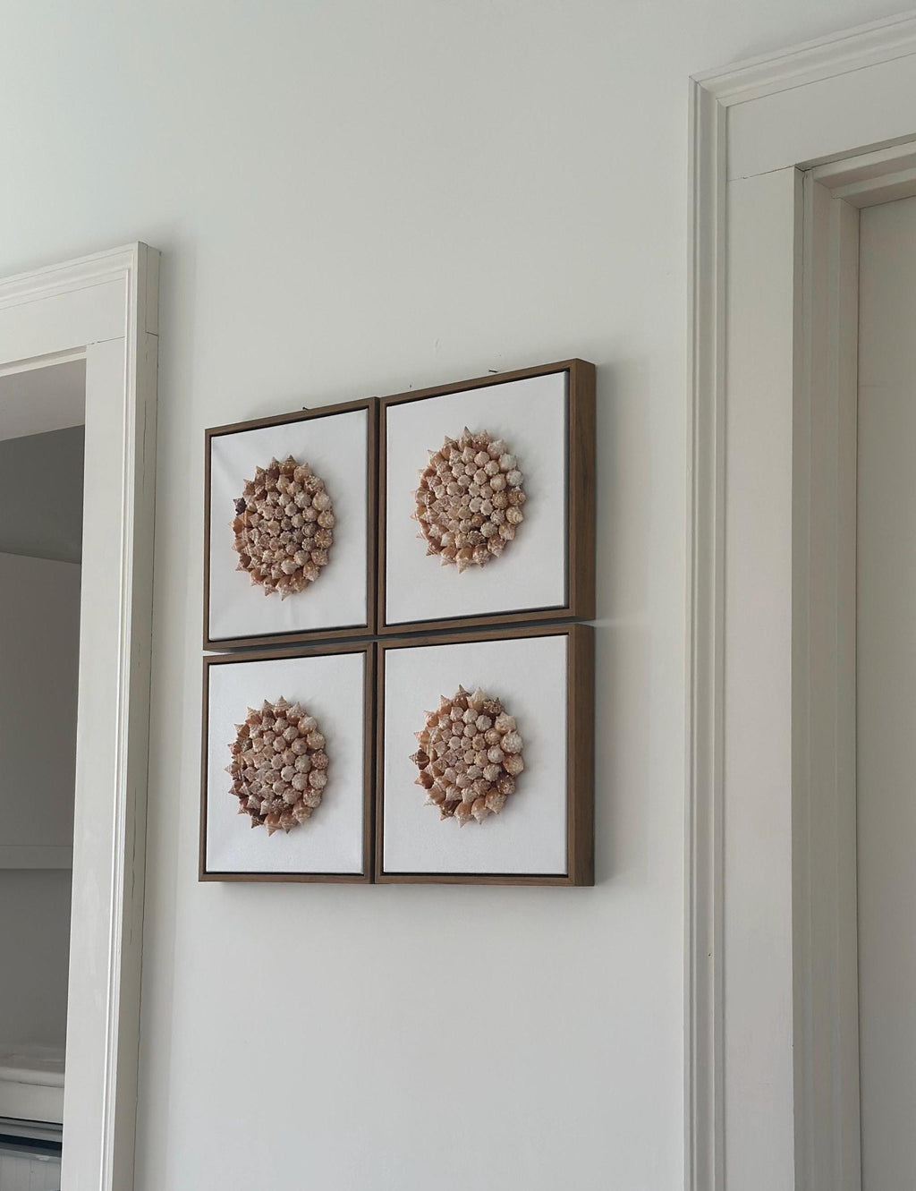 Conch Shell Pinwheel | Seashell Wall Art