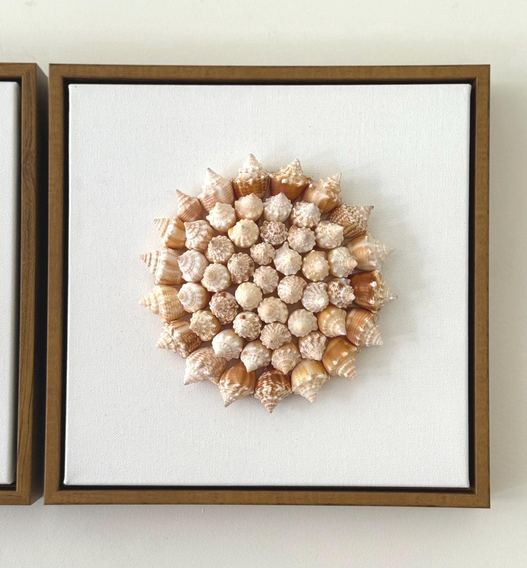 Conch Shell Spiral | Seashell Sunburst Wall Art