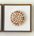 Conch Shell Spiral | Seashell Sunburst Wall Art
