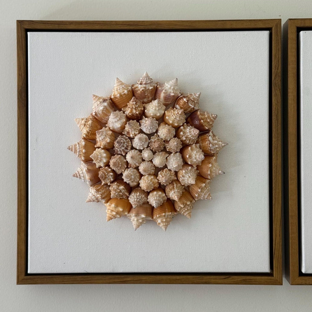 Conch Shell Pinwheel | Seashell Wall Art