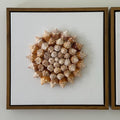Conch Shell Pinwheel | Seashell Wall Art