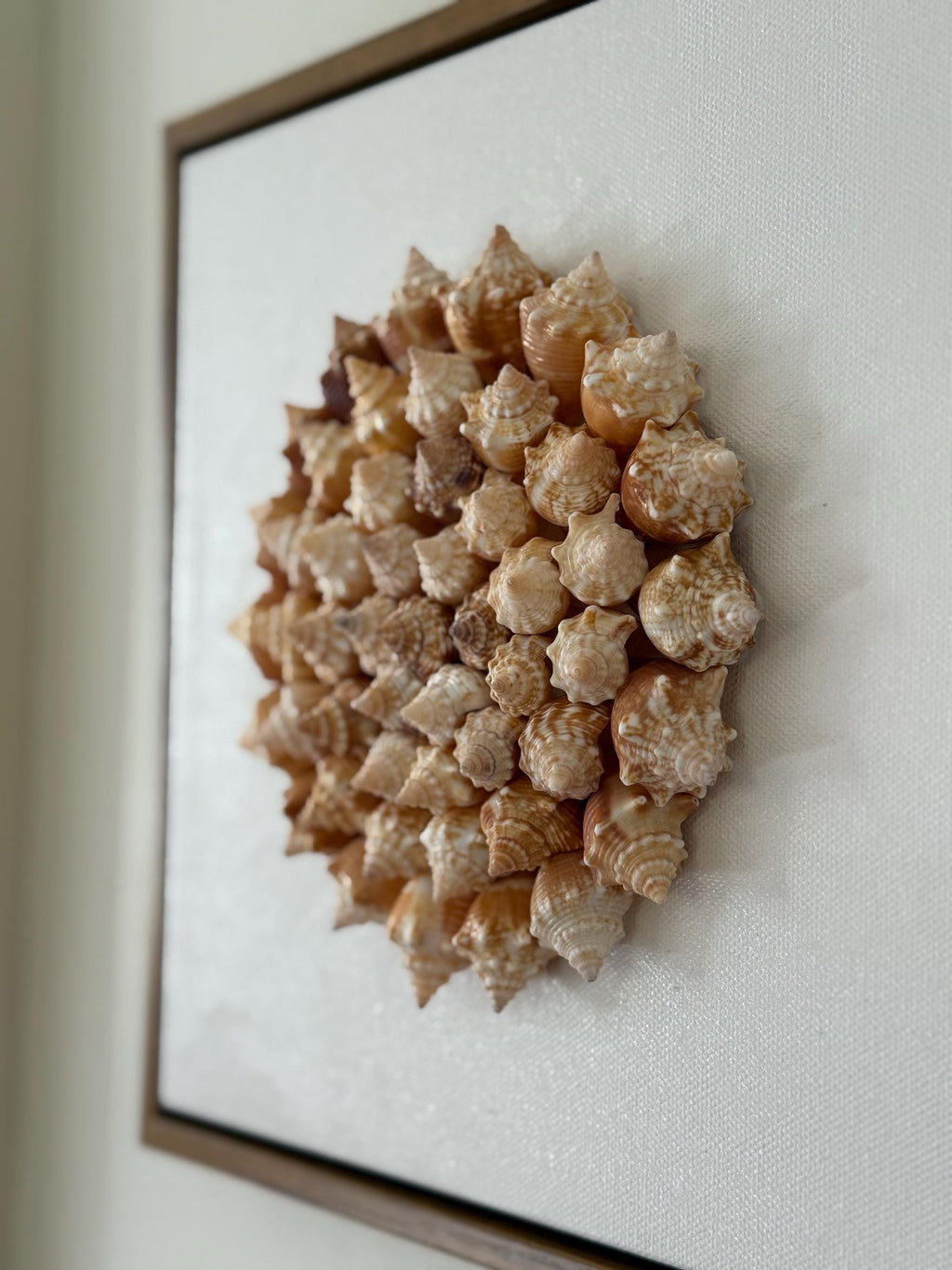 Conch Shell Pinwheel Seashell Wall Art