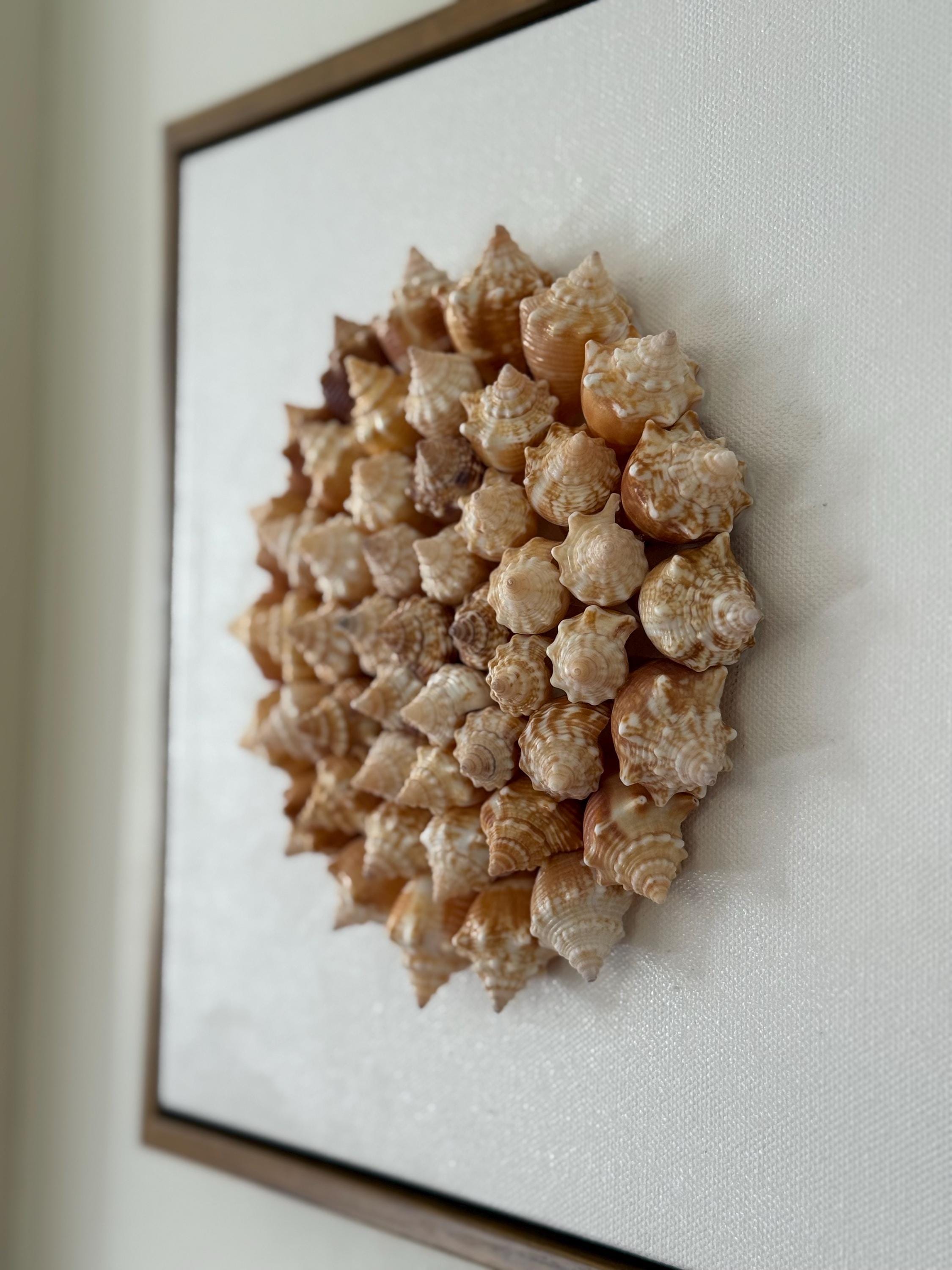 Conch Shell Pinwheel Seashell Wall Art