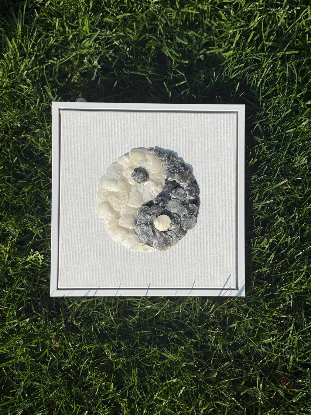 YinYang Seashell Art  | YinYang Wall Decor