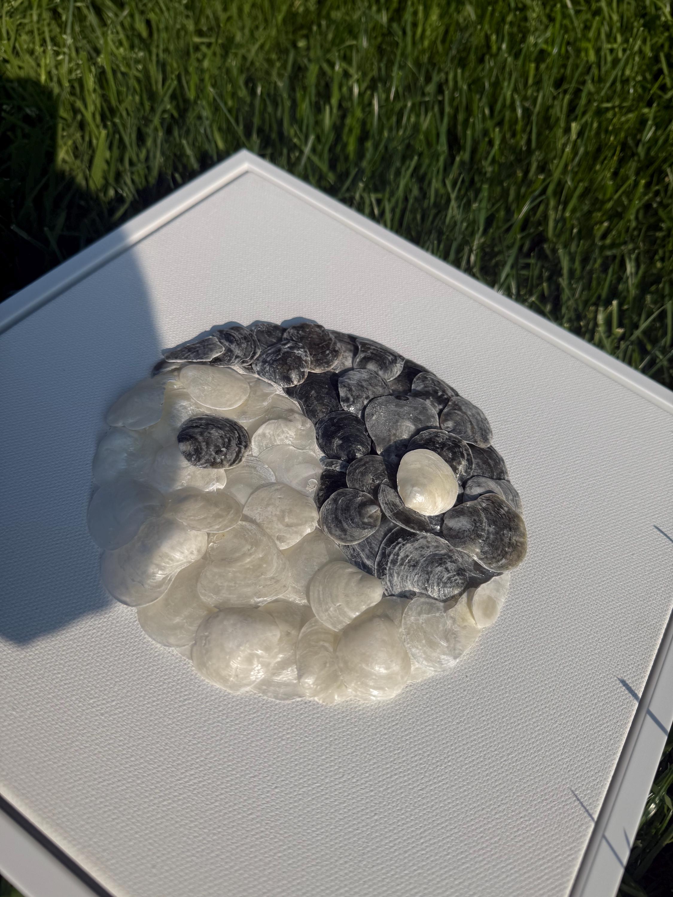 YinYang Seashell Art  | YinYang Wall Decor