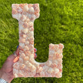 Custom Seashell Letter - Decorative Letters for wall - Kitten paw