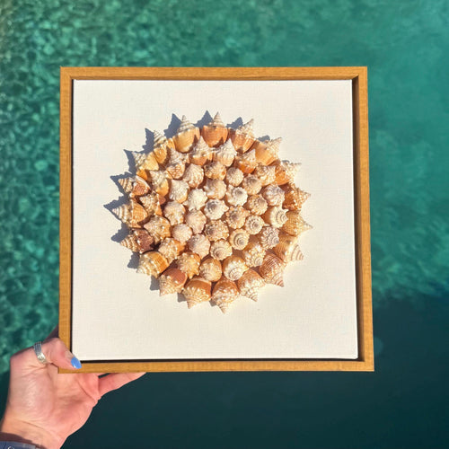 50+ Sanibel Island Conch Shell Mandala Wall Art | Handmade Seashell Art