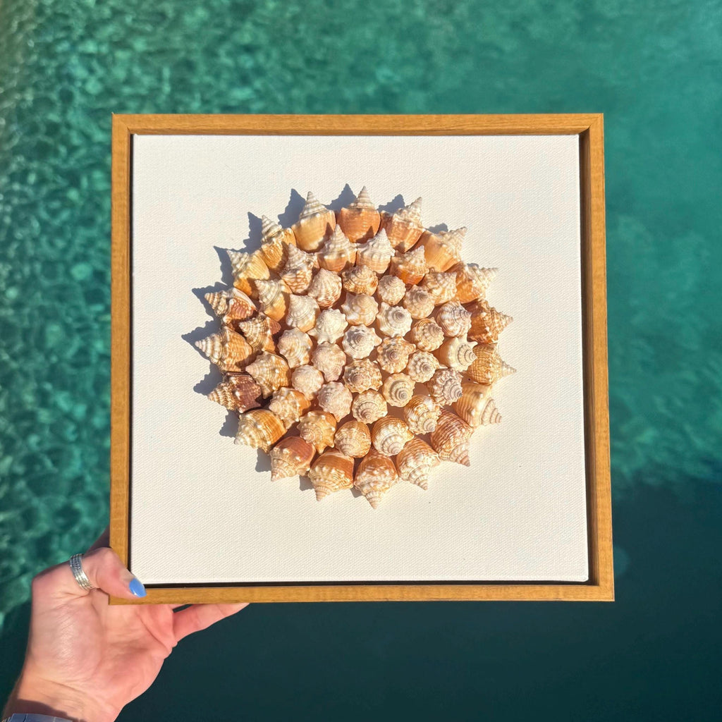 50+ Sanibel Island Conch Shell Mandala Wall Art | Handmade Seashell Art