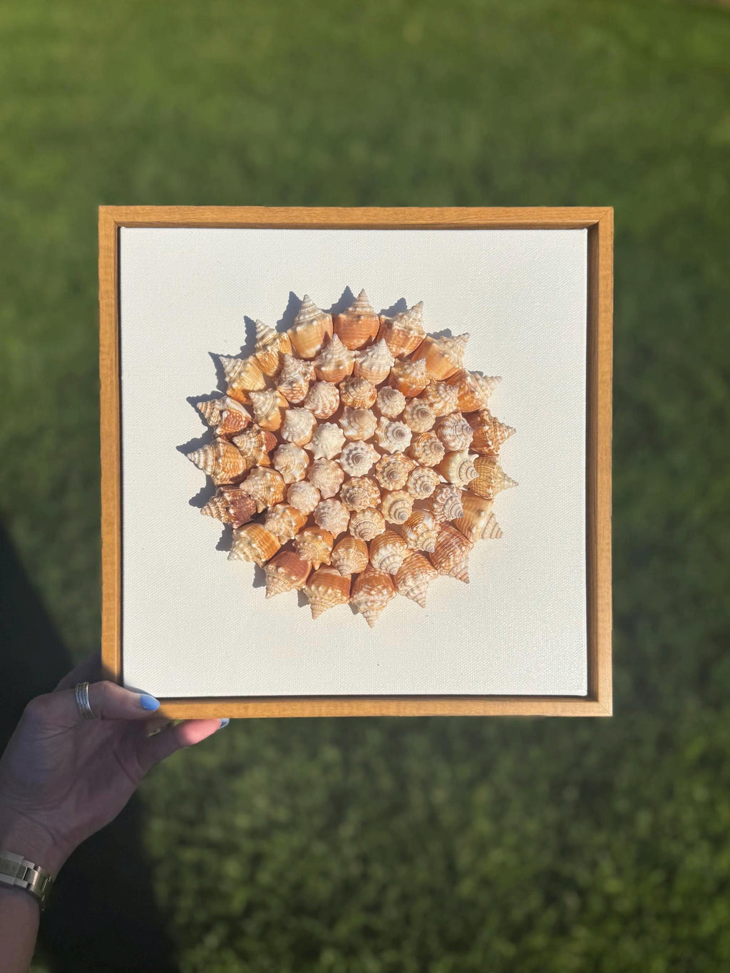 50+ Sanibel Island Conch Shell Mandala Wall Art | Handmade Seashell Art