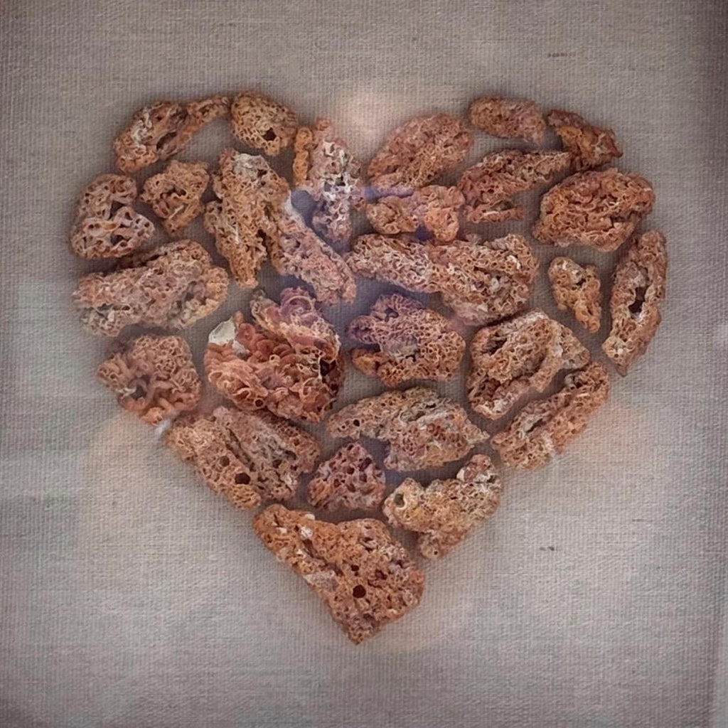Handmade Red Coral Heart - Framed Coastal Wall art - Seashell Art