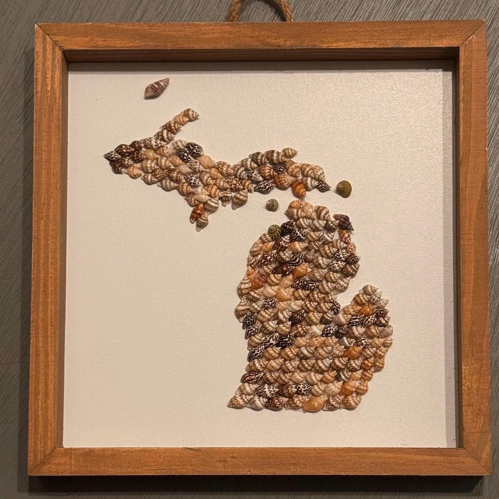 Customized State Shell Art | Handmade Seashell State Wall Decor Beach House Gift