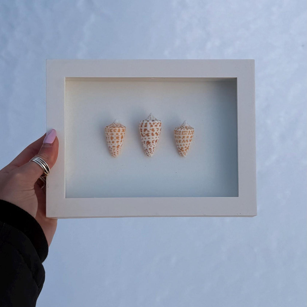 Three small cone-shaped objects in a white frame held by a hand against a light blue background